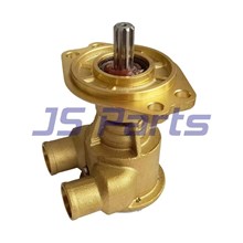 For Johnson Pump 10-13599-02 Raw Water Pump Replaces Kohler GM57562